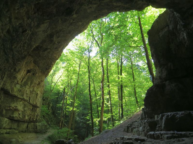 
    
            
                    Falkensteiner Höhle
                
        
