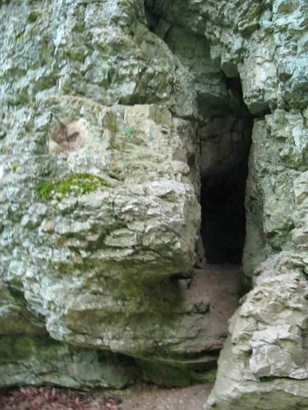 
    
            
                    Höhlenausgang
                
        
