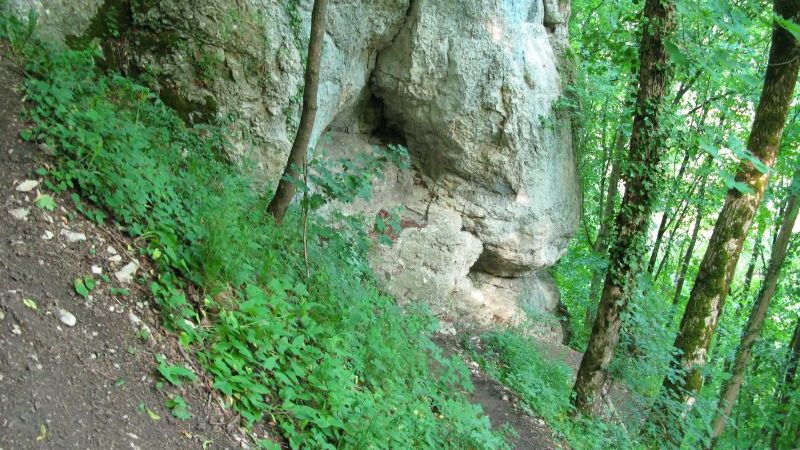 
    
            
                    Serpentinenweg zur Gustav-Jakob-Höhle
                
        
